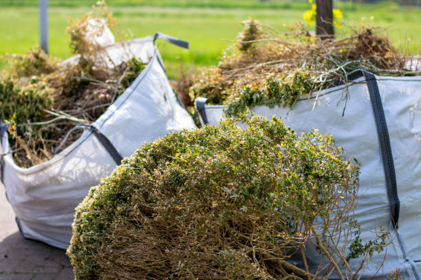 Best Yard Waste Removal  in Midlothian, VA